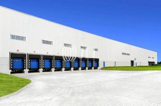 Gewerbeimmobilie mieten in 24598 Boostedt, Moderner Logistikneubau in Autobahnnähe