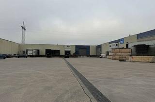 Gewerbeimmobilie mieten in Max-Eyth-Straße 43, 89231 Neu-Ulm, Funktionalität mit Profil: Lagerhalle in Neu-Ulm