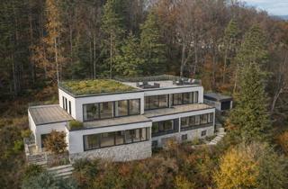 Grundstück zu kaufen in 71543 Wüstenrot, Einmalige Gelegenheit: Teilbares Panoramagrundstück mit Privatwald
