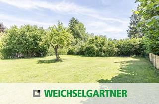 Grundstück zu kaufen in 85464 Finsing, B-Plan vorhanden: Wohnbaugrundstück für eine Doppelhaushälfte in grüner und ruhiger Umgebung