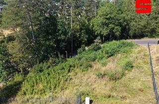 Grundstück zu kaufen in 97422 Hochfeld-Steinberg, Einmaliges Grundstück für Ihr neues Zuhause