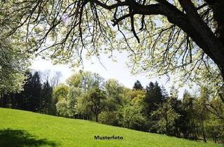Grundstück zu kaufen in Dossenheimer Tal, 69118 Ziegelhausen, Land- und Forstwirtschaftsfläche