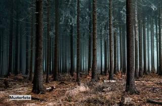 Grundstück zu kaufen in Lichtenfelser Weg, 72175 Dornhan, Waldfläche