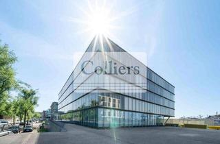 Gewerbeimmobilie mieten in Neumühlen, 22763 Ottensen, Exklusiv über Colliers - Einzigartiger Blick auf Elbe und Hafen!