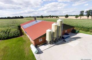 Immobilie kaufen in 49497 Mettingen, Landwirtschaftlicher Veredelungsbetrieb mit insgesamt ca. 15,7 ha Grund und Boden im Münsterland!