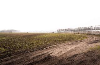 Gewerbeimmobilie kaufen in 48308 Senden, Gewerbehalle mit 5.106 m² Grundstück in attraktiver Lage von Senden