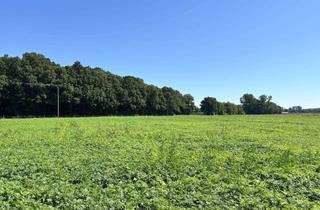 Gewerbeimmobilie kaufen in 59348 Lüdinghausen, Ackerfläche in Lüdinghausen - Kapitalanlage oder Eigenbewirtschaftung (ab 2030)!