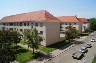 Wohnung mieten in Curiestr. 40 D, 39124 Neue Neustadt, 3-Zimmer-Dachgeschoss-Wohnung mit 2 schönen Balkonen in sehr ruhiger Grünlage