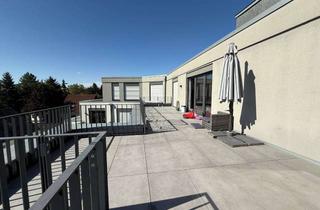 Penthouse mieten in 53757 Sankt Augustin, Modernes Penthouse