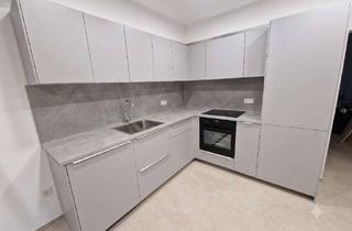 Wohnung mieten in Am Ziegelacker 61, 74199 Untergruppenbach, Moderne 2-Zimmer Souterrain Neubauwohnung in Unterheinriet