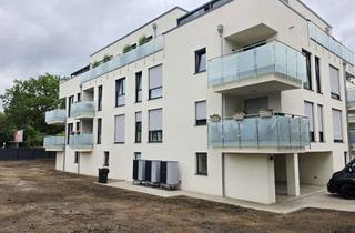 Wohnung mieten in Neue Bockradener Straße 34, 49477 Ibbenbüren, Modernes Wohnen: 1,5-Zimmer-Apartment in Ibbenbüren