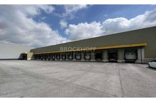 Gewerbeimmobilie mieten in 59457 Werl, Werl | ca. 12.000- 25.000 m² | 14 Rampentore| verkehrsgünstig gelegen | 5,00 EUR