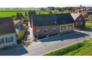 Einfamilienhaus kaufen in 06901 Kemberg, Charmantes Haus mit Innenhof, 3 Garagen & traumhaftem Garten in Kemberg / Ortsteil Dabrun