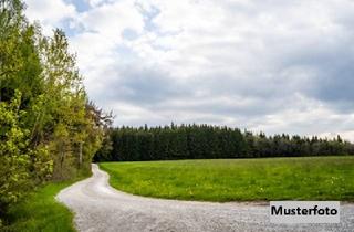 Immobilie kaufen in 95326 Burghaig, Land- und Forstwirtschaftsfläche
