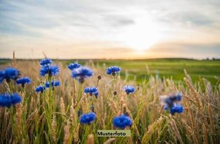 Immobilie kaufen in 57258 Freudenberg, Landwirtschafts- und Waldfläche