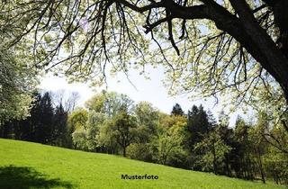 Immobilie kaufen in 56283 Nörtershausen, Land- und Forstwirtschaftsflächen