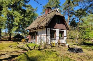 Haus kaufen in 21649 Regesbostel, Regesbostel - Idyllisches Wochenendhaus auf großzügigem Waldgrundstück