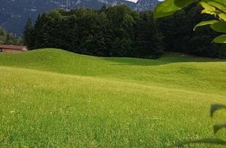 Haus kaufen in 83334 Inzell, Inzell - Sanierungsobjekt am Alpenrand im Chalet-Stil