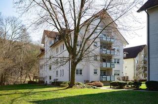 Wohnung kaufen in 01816 Bad Gottleuba, Sicher vermietete Wohnung in ruhiger Lage