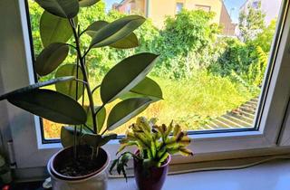 Wohnung kaufen in 67071 Oggersheim, ALTERNATIVE ZUM HAUS - Freist. Haus ohne Garten, großem Innenhof, Stellpl. + Freisitz!