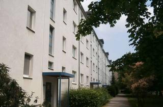 Wohnung mieten in Lipezker Straße 49 a, 03048 Sachsendorf, Großzügige 2-Zimmer-Wohnung mit EBK