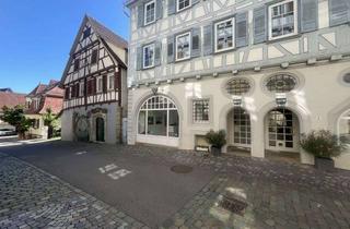 Wohnung mieten in 71083 Herrenberg, Stadtliebhaber aufgepasst! Gemütliche 4-Zimmer-Wohnung in der Herrenberger Altstadt