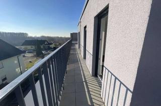 Penthouse mieten in Dr. Herbert-Mrozik-Str., 76344 Eggenstein-Leopoldshafen, Moderne 2-Zimmer-Penthousewohnung