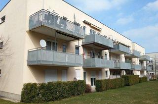 Wohnung mieten in 04600 Altenburg, Klein und gemütlich!