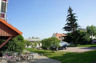 Wohnung mieten in Lange Straße 11, 01587 Riesa, *** KLEIN... GEMÜTLICH... UND MIT KÜCHENZEILE ! *** Helle 2-Raumwohnung zu vermieten