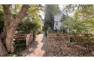 Einfamilienhaus kaufen in 68623 Lampertheim, *** Charmantes Einfamilienhaus mit großzügigem Grundstück ***