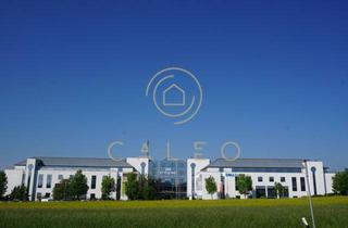 Gewerbeimmobilie mieten in 65824 Schwalbach, CALEO ¦ Schwalbach ¦ 583 m² - 20.465 m² ¦ ab EUR 12,00/m² ¦ PROVISIONSFREI