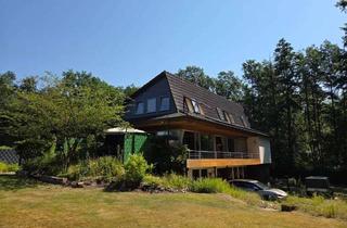 Einfamilienhaus kaufen in 29361 Höfer, Großes Top Einfamilienhaus in besonderer Lage.
