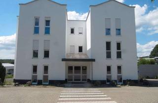Gewerbeimmobilie mieten in In Der Struth 3-5, 56204 Hillscheid, Lagerfläche 65qm im UG mit Tageslicht