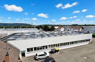 Gewerbeimmobilie kaufen in 32457 Porta Westfalica, Gewerbehalle, Büro- oder Wohnhaus in Top-Lage an der A2 / PW-Holtrup