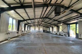 Gewerbeimmobilie mieten in Industriestraße 10, 63674 Altenstadt, Gewerbe Halle: Viel Platz für Ihre Produktion in Altenstadt