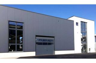Büro zu mieten in Bavariaring 12, 87600 Kaufbeuren, Eigenständige, hochwertige Gewerbeeinheit mit Halle, Büros & Galerie - direkt an der B12
