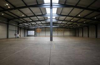 Büro zu mieten in 55494 Mörschbach, Hochwertige Lagerhalle mit Büro, ca. 1.816 m², in 55494 Mörschbach PROVISIONSFREI zu vermieten