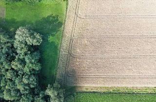Grundstück zu kaufen in 27383 Scheeßel, Vielseitiges Flächenangebot mit ca. 9 ha Ackerland, ca. 2 ha Grünland sowie Wald- und Brachflächen