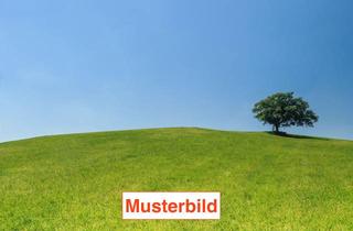 Grundstück zu kaufen in 61462 Königstein, Baugrundstück mit Altbestand in ruhiger Lage von Königstein im Taunus - Falkenstein