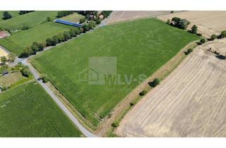 Gewerbeimmobilie kaufen in 59348 Lüdinghausen, 3,8 ha Ackerland in Lüdinghausen