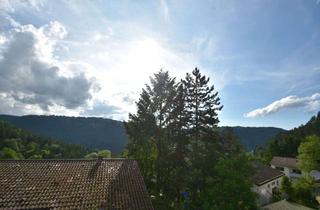 Wohnung mieten in Ernst-Salzmann-Staffel., 75378 Bad Liebenzell, Sonniges 1-Zi-Appartement mit toller Aussicht in Bad Liebenzell