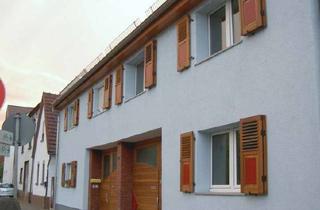 Haus mieten in 68649 Groß-Rohrheim, Saniertes KFW 70 Haus mit drei Zimmern in Bergstraße (Kreis), Groß-Rohrheim