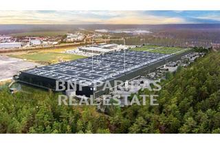 Gewerbeimmobilie mieten in Messerschmittstraße 15, 92263 Ebermannsdorf, Bis 55.000 m² flexible Logistik- und Produktionsfläche, 2 min auf die A6, WGK III