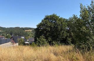 Grundstück zu kaufen in 53940 Hellenthal, Ein Grundstück mit Perspektive-sonnige Lage und traumhafter Weitblick