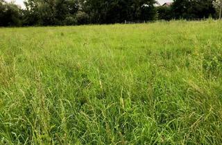 Grundstück zu kaufen in 86695 Nordendorf, 9.195 m² Baugrundstück an der Schmutter | Ortsrandlage | Unverbaubarer Blick | Provisionsfrei