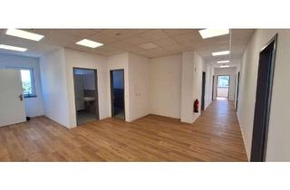 Büro zu mieten in 64625 Bensheim, Moderne Bürofläche mit Empfang, Aufzug & Parkplätzen – Erstbezug