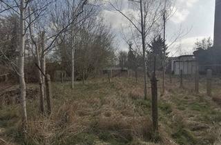 Immobilie kaufen in 15913 Märkische Heide, Exklusive Baugrundstück in Groß Leuthen-Zentrale Lage in der Bahnhofstraße & Nah zur Spreewald