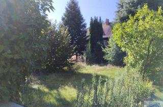 Einfamilienhaus kaufen in 02791 Oderwitz, Viel Platz in Haus und Garten !!!