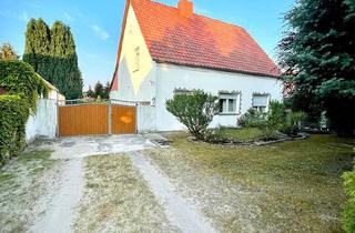 Einfamilienhaus kaufen in 06889 Lutherstadt Wittenberg, Wittenberg Lutherstadt - Freistehendes Einfamilienhaus 1.883 m² Grundstück Wittenberg