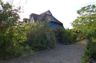 Bauernhaus kaufen in 26345 Bockhorn, Bockhorn - Reetdachhaus mt Resthof in Bockhorn am Jadebusen